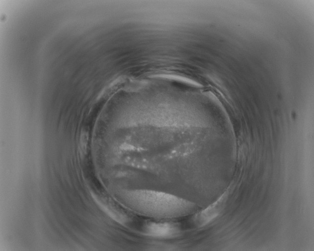 X0000087620171200705041633