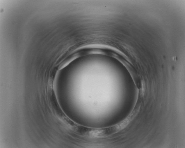 X0000087620172200705041633