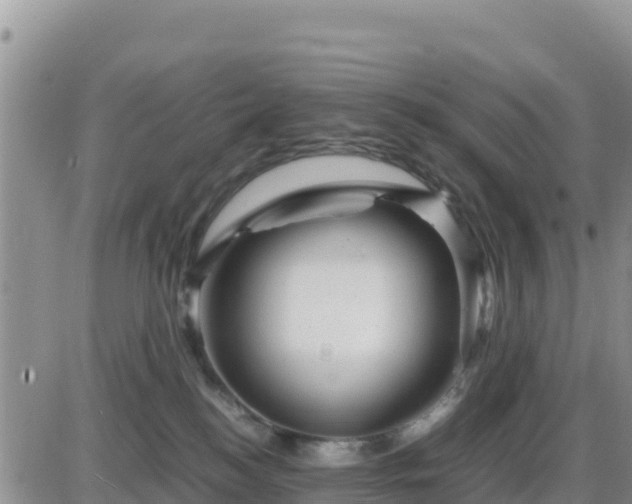X0000087620184200705041633