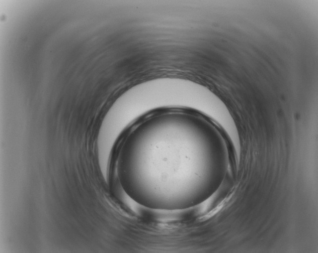X0000087620188200705041633