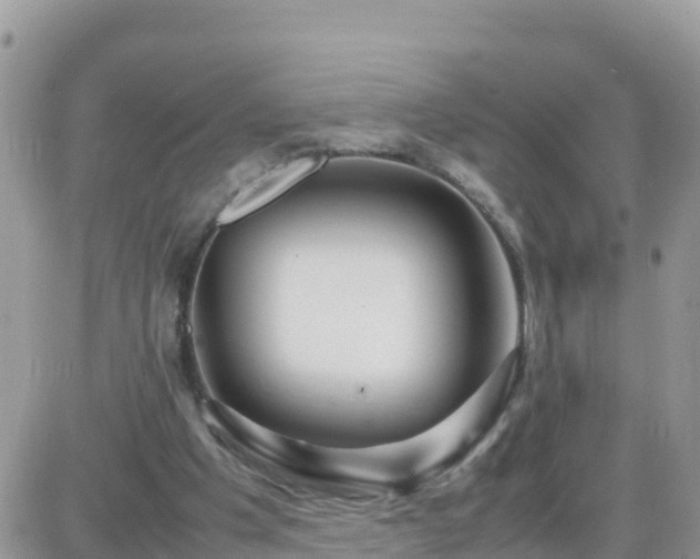 X0000087620201200705041633