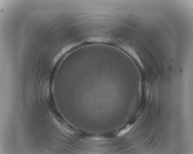 X0000087620204200705041633