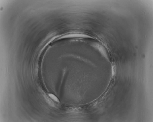 X0000087620243200705041631
