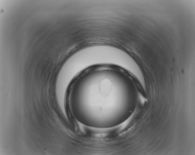 X0000087620264200705041632