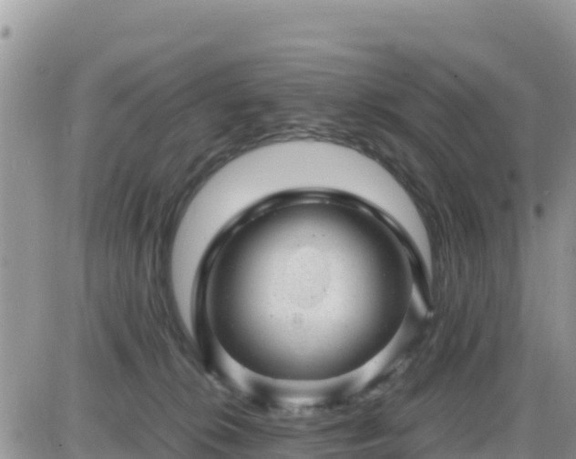 X0000087620276200705041632