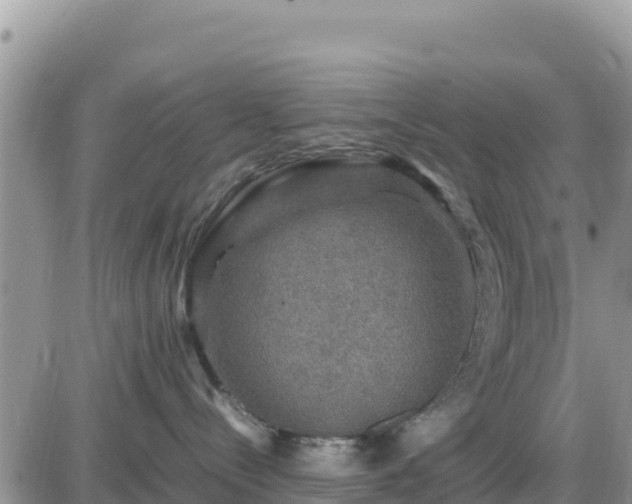 X0000087620288200705041632