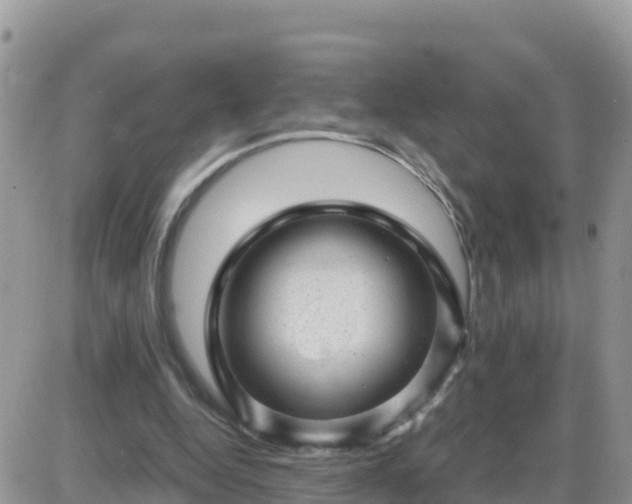 X0000087620344200705041630