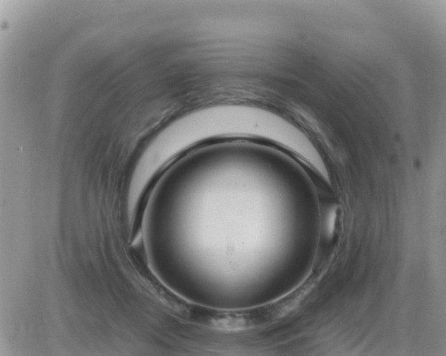 X0000087620362200705041630