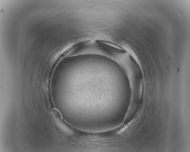 X0000087620389200705041629