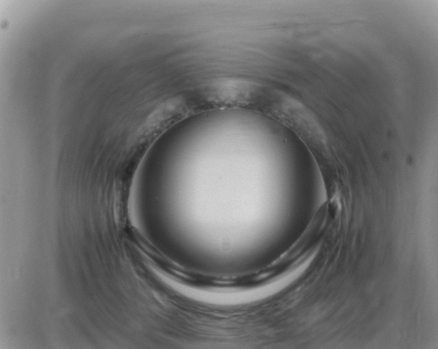 X0000087620416200705041629