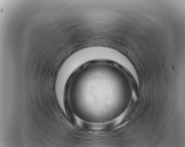 X0000087620428200705041629