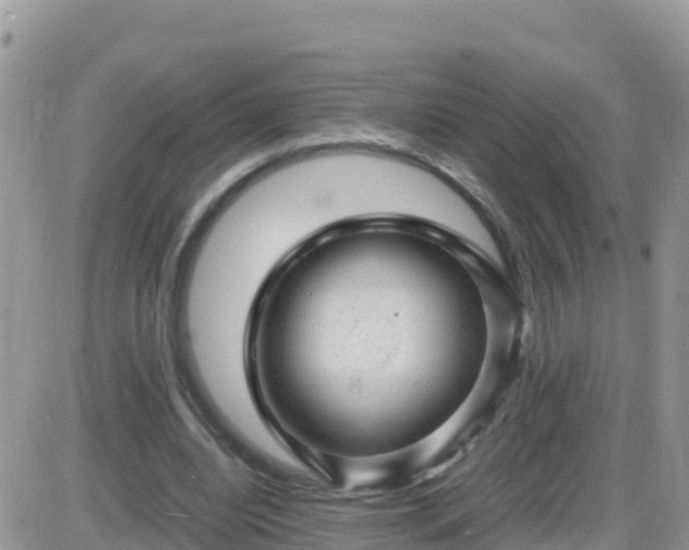 X0000087620440200705041628