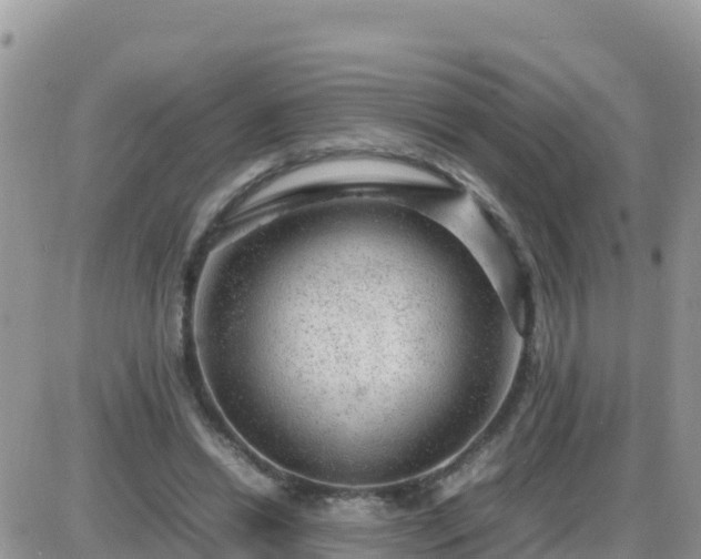 X0000087620446200705041628