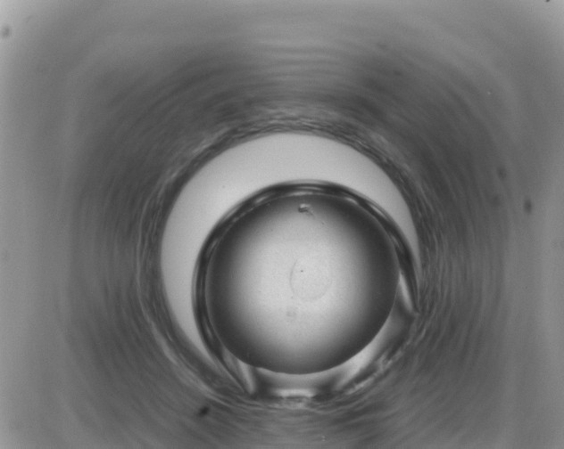 X0000087620456200705041628