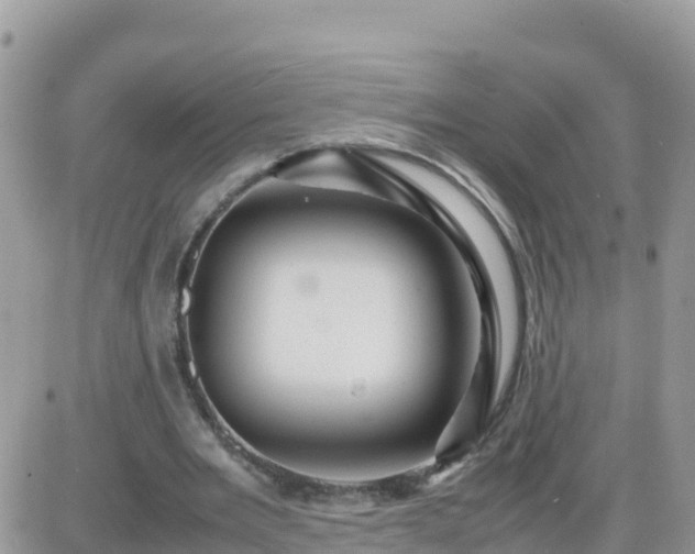 X0000087620485200705041628