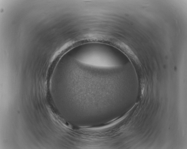 X0000087620488200705041628