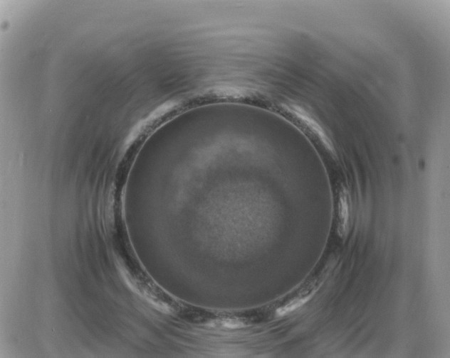 X0000087620492200705041628