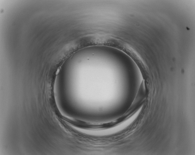 X0000087620497200705041628