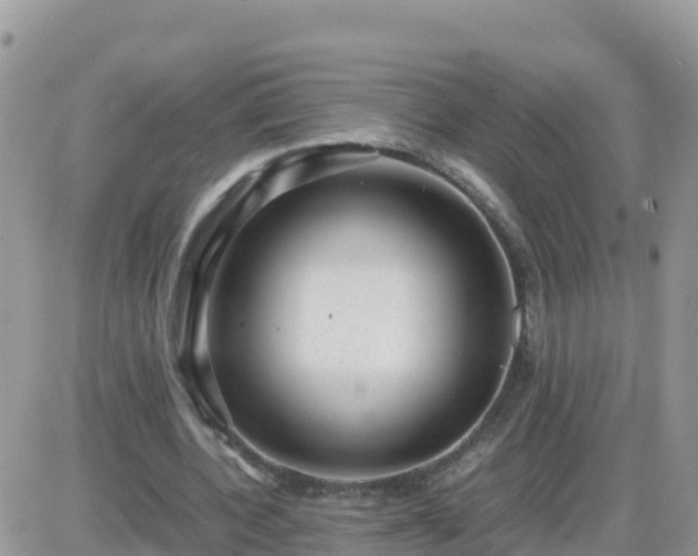 X0000087620532200705041626