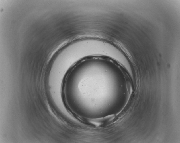 X0000087620534200705041627