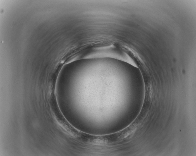 X0000087620546200705041627