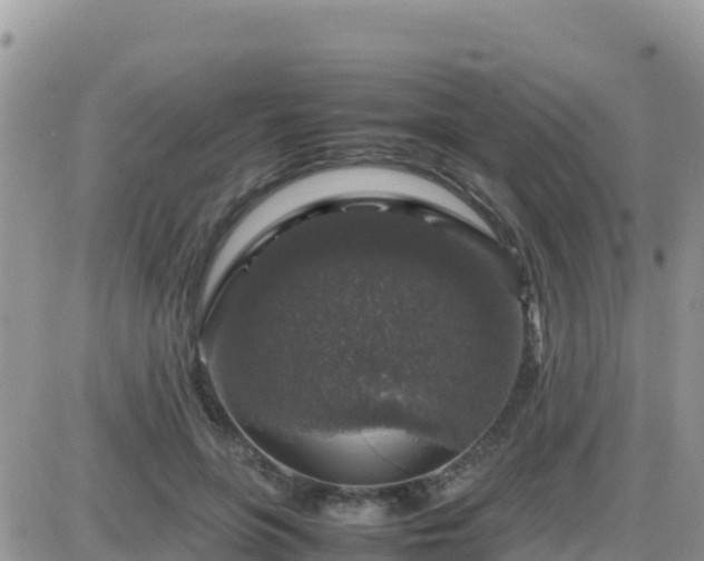 X0000087620551200705041627