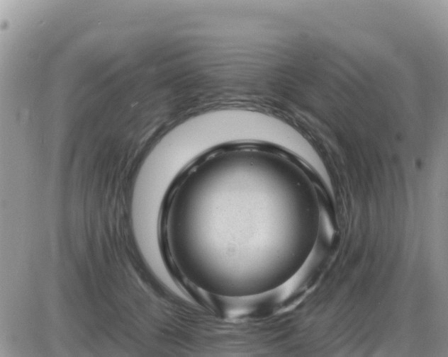 X0000087620560200705041627
