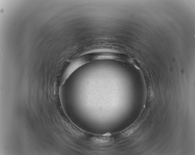 X0000087620567200705041627