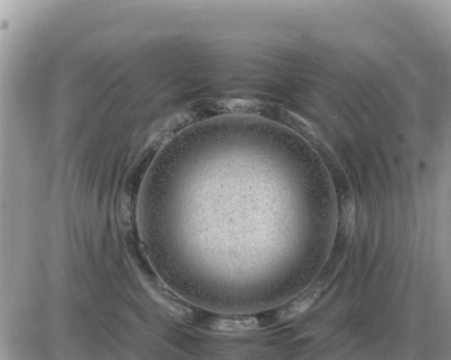 X0000087620571200705041627