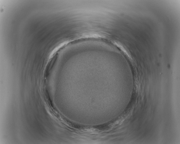 X0000087620583200705041626