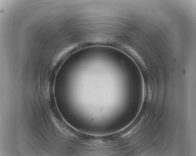 X0000087620588200705041626