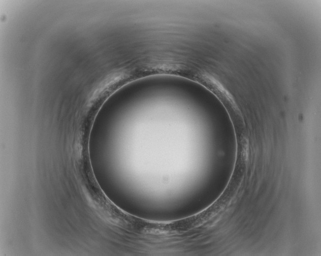 X0000087620635200705041625