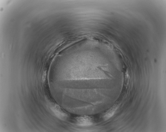 X0000087620652200705041625