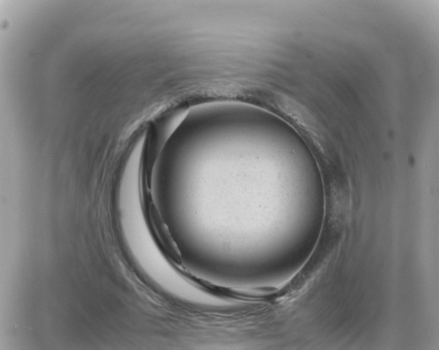 X0000087620681200705041625