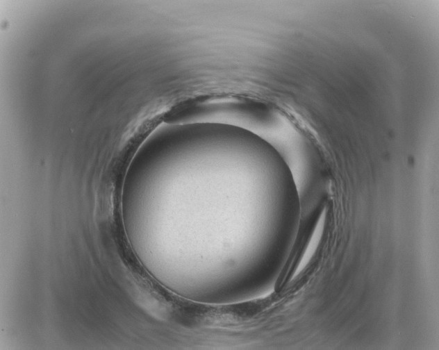 X0000087620685200705041625