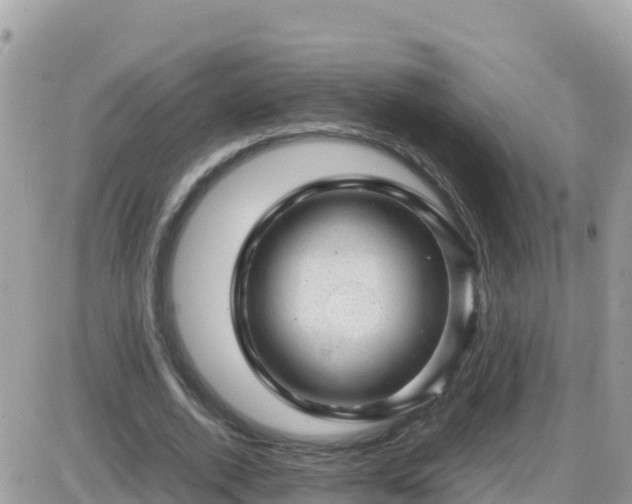 X0000087620728200705041623