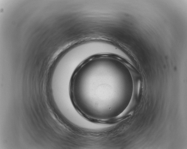 X0000087620732200705041623
