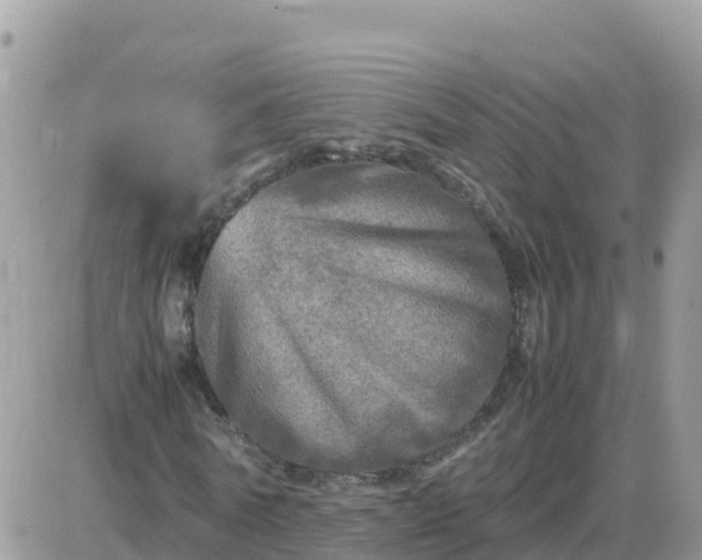 X0000087620770200705041623