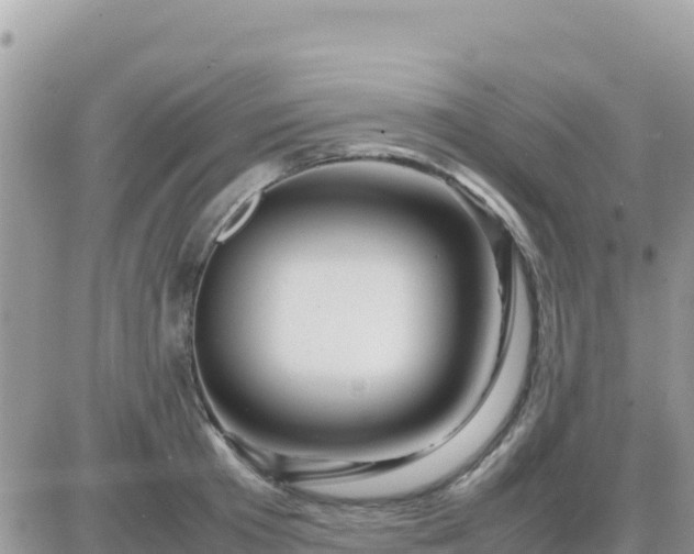 X0000087620801200705041623