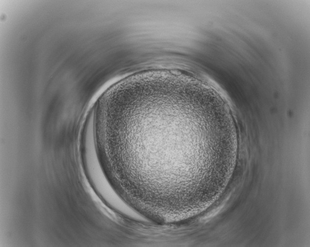 X0000087620803200705041623
