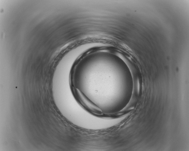 X0000087620822200705041622