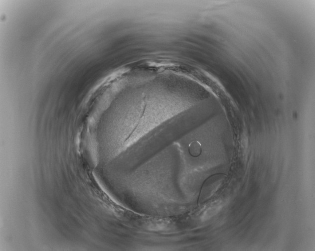X0000087620823200705041622