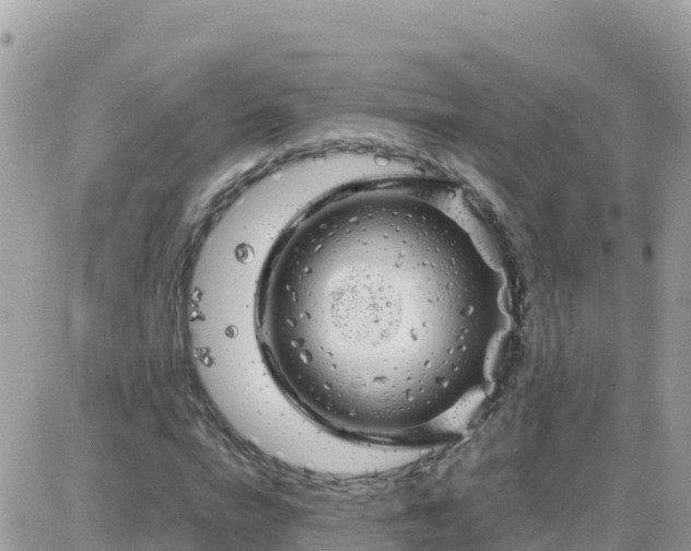 X0000087620824200705041622