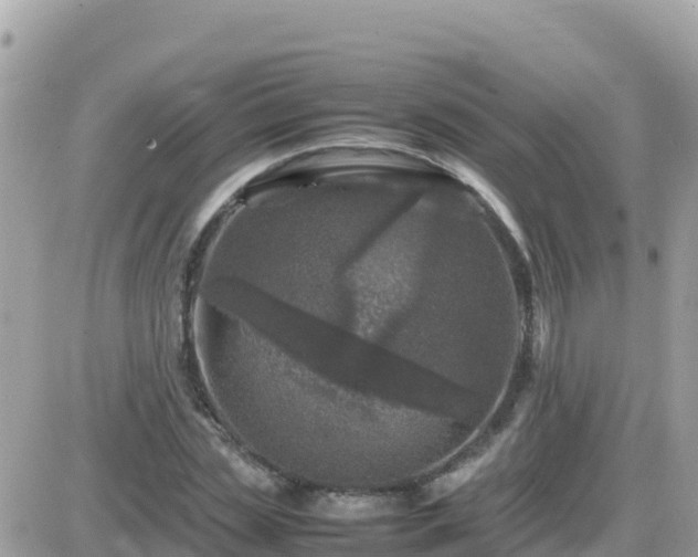 X0000087620829200705041622