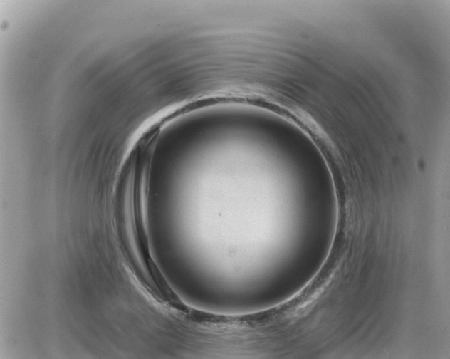 X0000087620838200705041622
