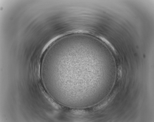 X0000087620886200705041621
