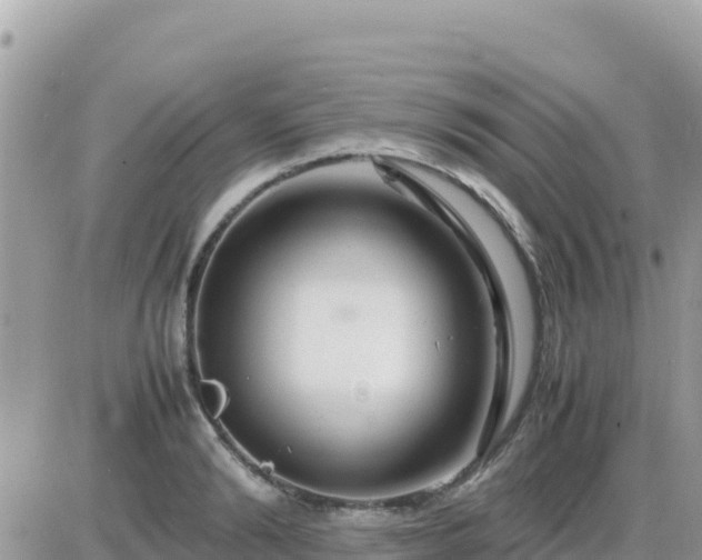 X0000087620894200705041621