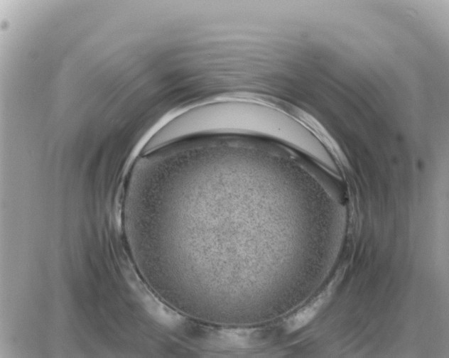 X0000087620908200705041621