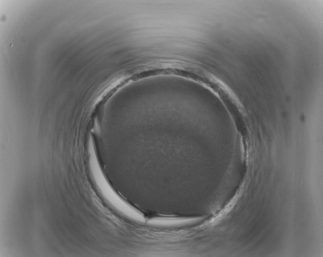 X0000087620977200705041620