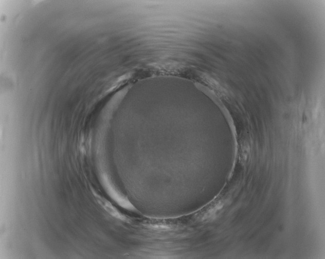 X0000087621010200705041619